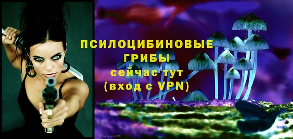 эйфоретик Белоозёрский