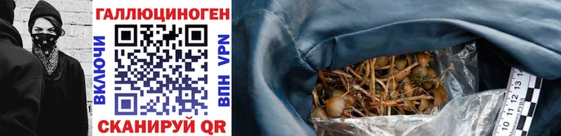 наркошоп  Ува  Галлюциногенные грибы прущие грибы 